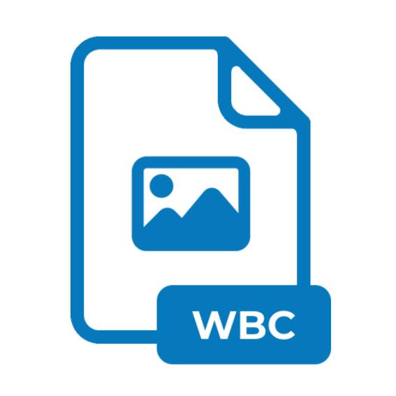 WBC file extension What is a .WBC format, and how to open it?